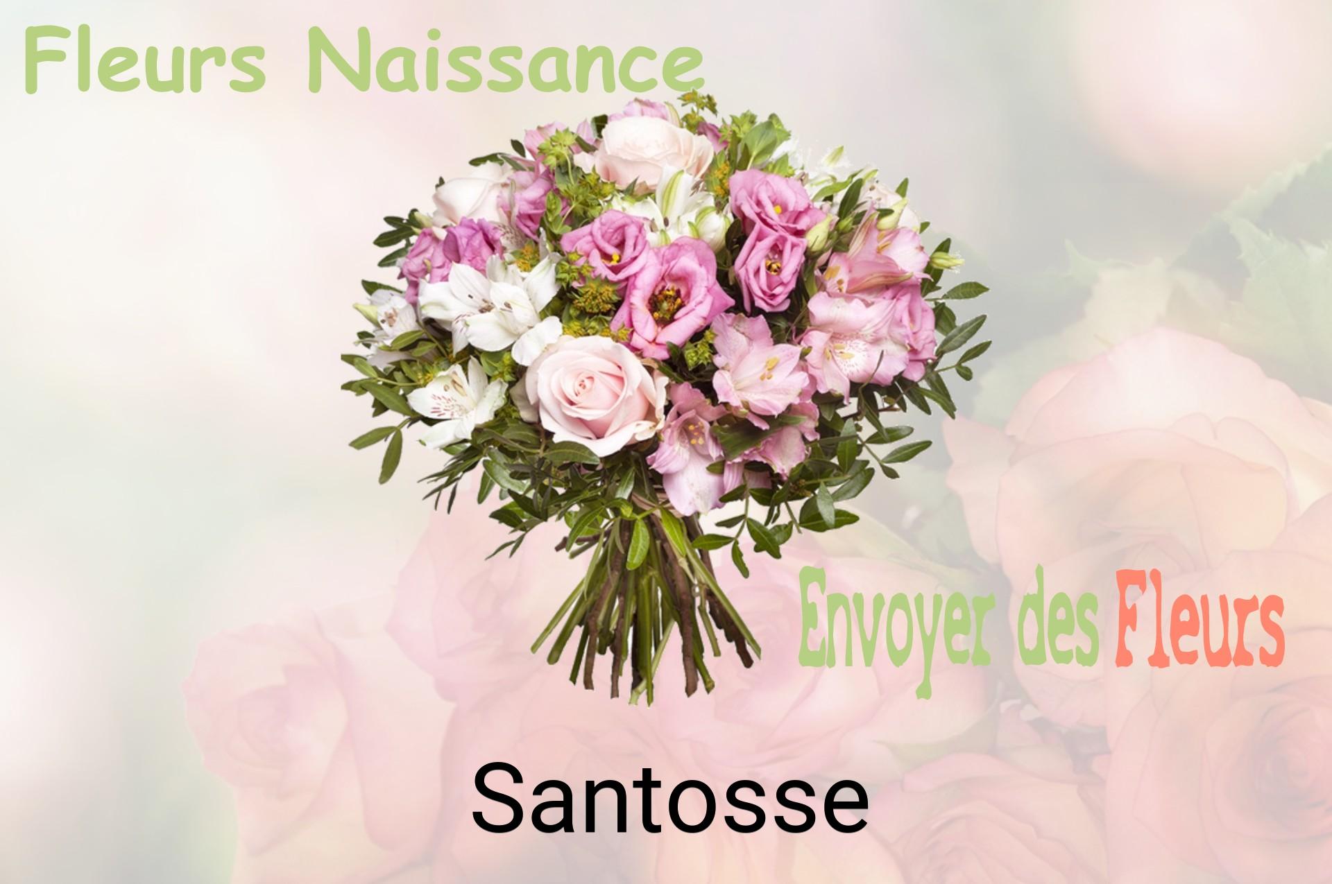Bouquet de fleurs de naissance livré à Santosse