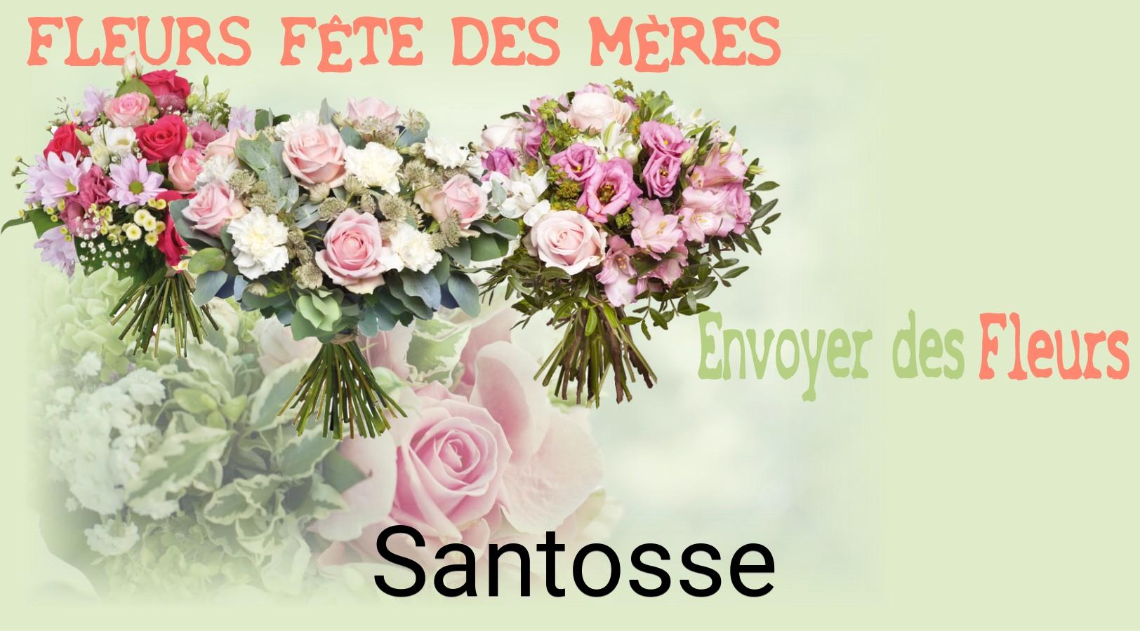 Bouquet de Fête des Mères livré à Santosse